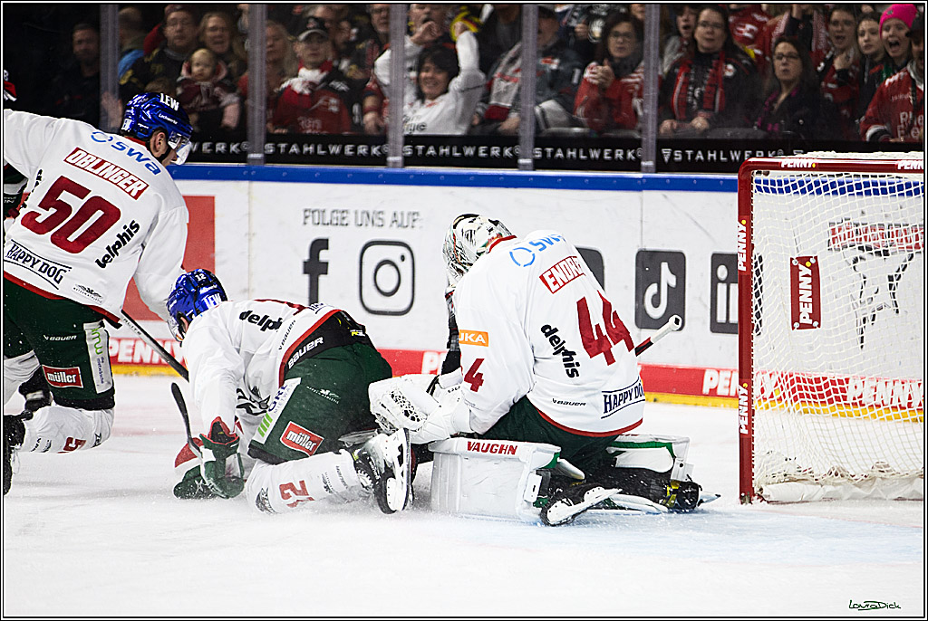 PENNY DEL; Koelner Haie-Augsburger Panthers; Koeln, 19.11.2023